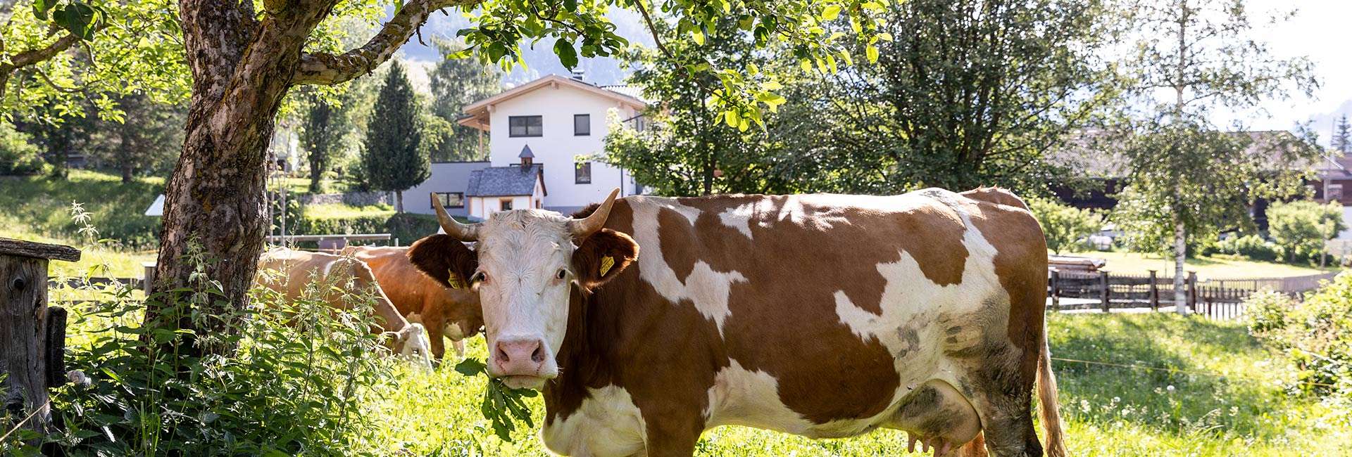 Schlafzimmer Muhsblick
