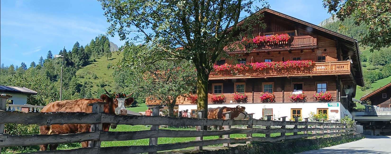 5_Hausansicht-redlerhof