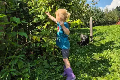 9_biohof-redlerhof-hofprodukte-Ribisel-kosten