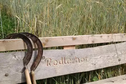 8_biohof_redlerhof_nachhaltigkeit_Roggen-Redlerhof