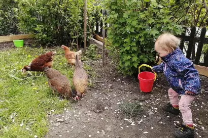 06_redlerhof_Huehner-fuettern