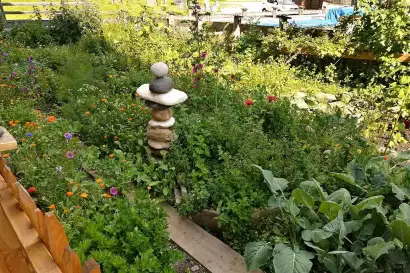 6_biohof_redlerhof_nachhaltigkeit_Kraeuter-Gemuesegarten