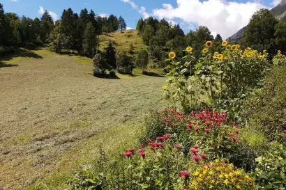 1_biohof_redlerhof_nachhaltigkeit_frisches-Heu