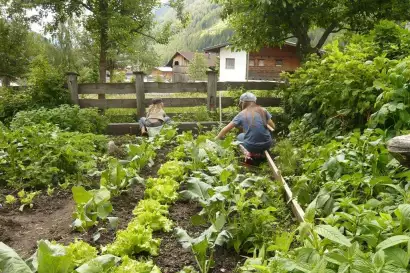 09_biohof_redlerhof_garten-ernte