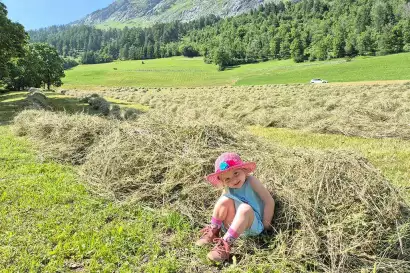 4_biohof_redlerhof_nachhaltigkeit_Heuernte