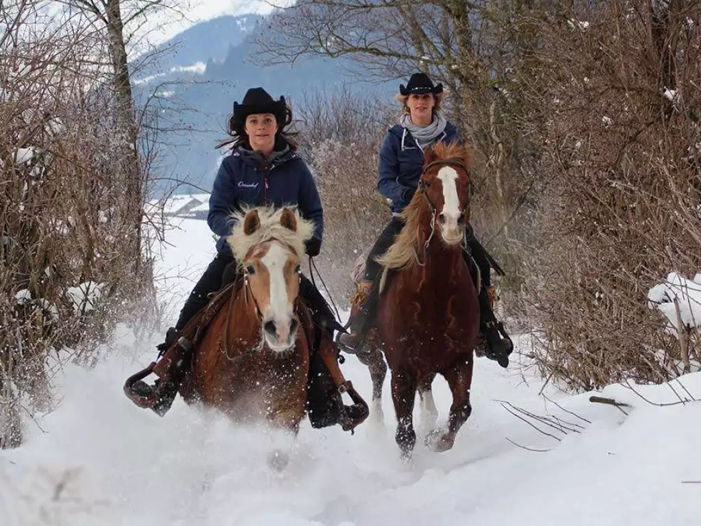 2 Frauen reiten im Galopp durch den Wald