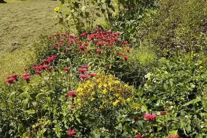 7_biohof_redlerhof_nachhaltigkeit_Lieblingsplatz-am-Acker