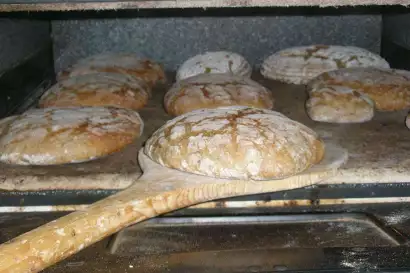 7_biohof_redlerhof_hofprodukte_frisch-gebackenes-Brot-im-Ofen